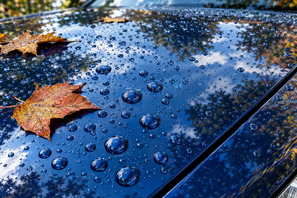 Water beading on a car hood after a ceramic coating