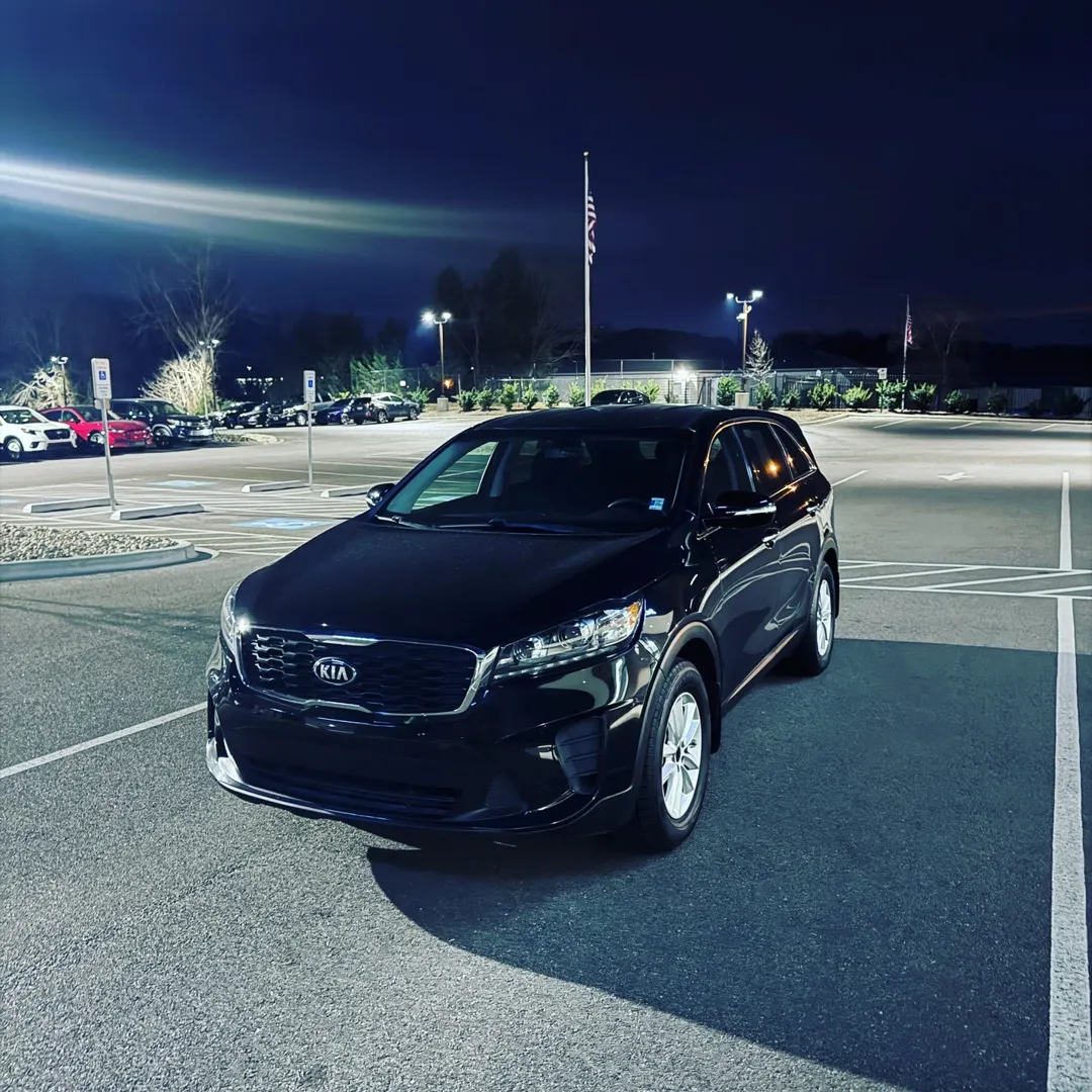 Fresh detail, night shine