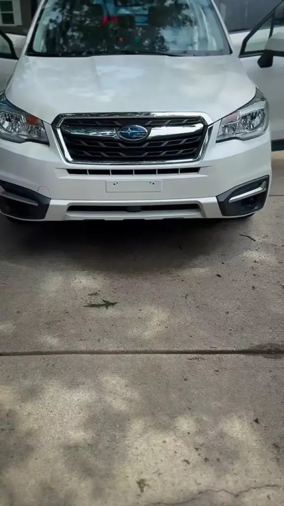 Subaru Forester full detail - My Detail Buddy mobile detailing